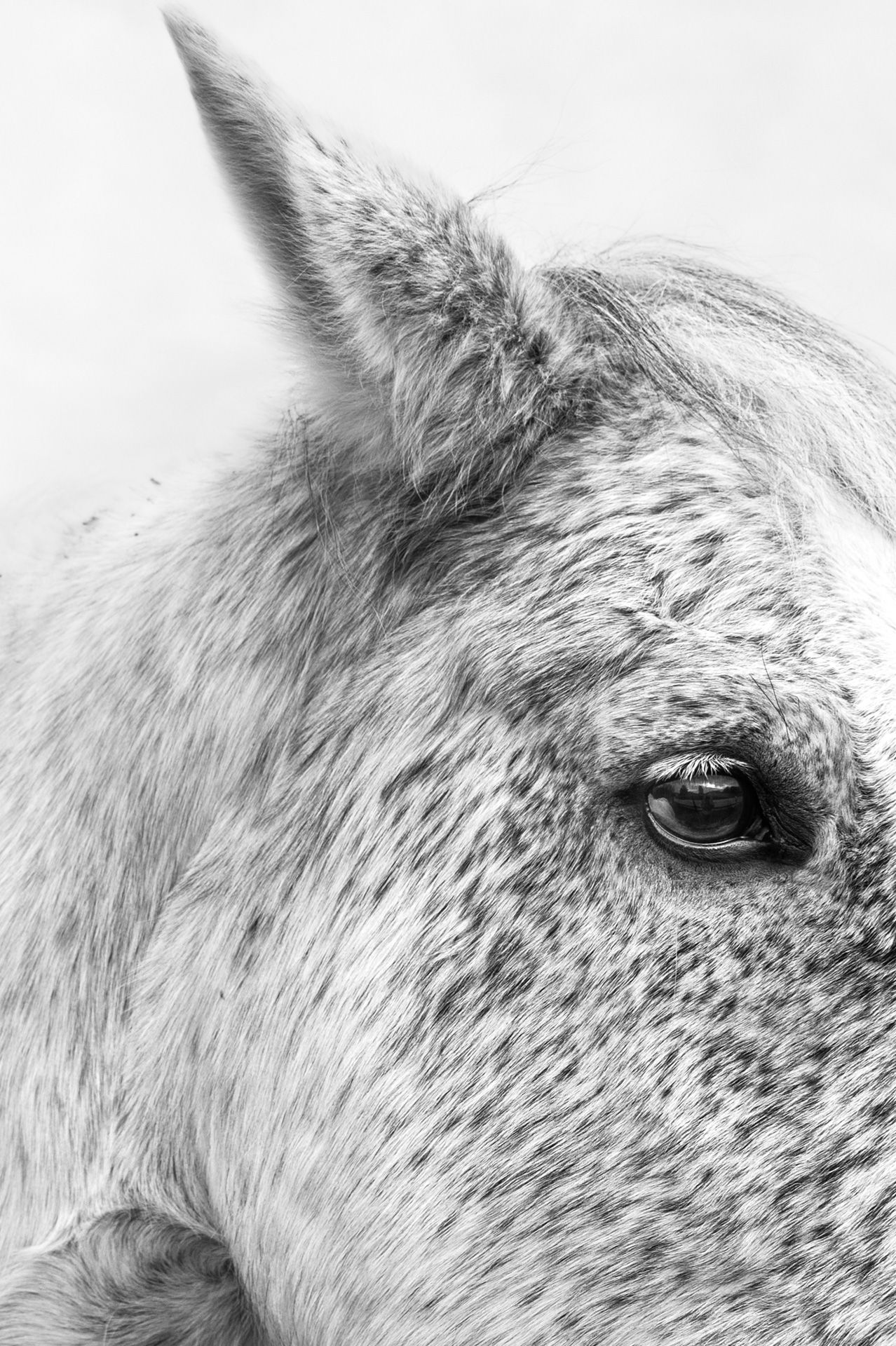 Regards