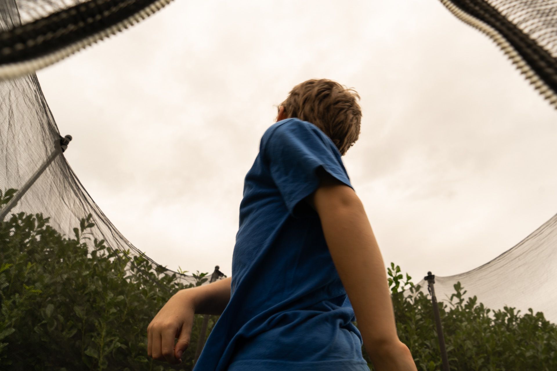 Le Trampoline