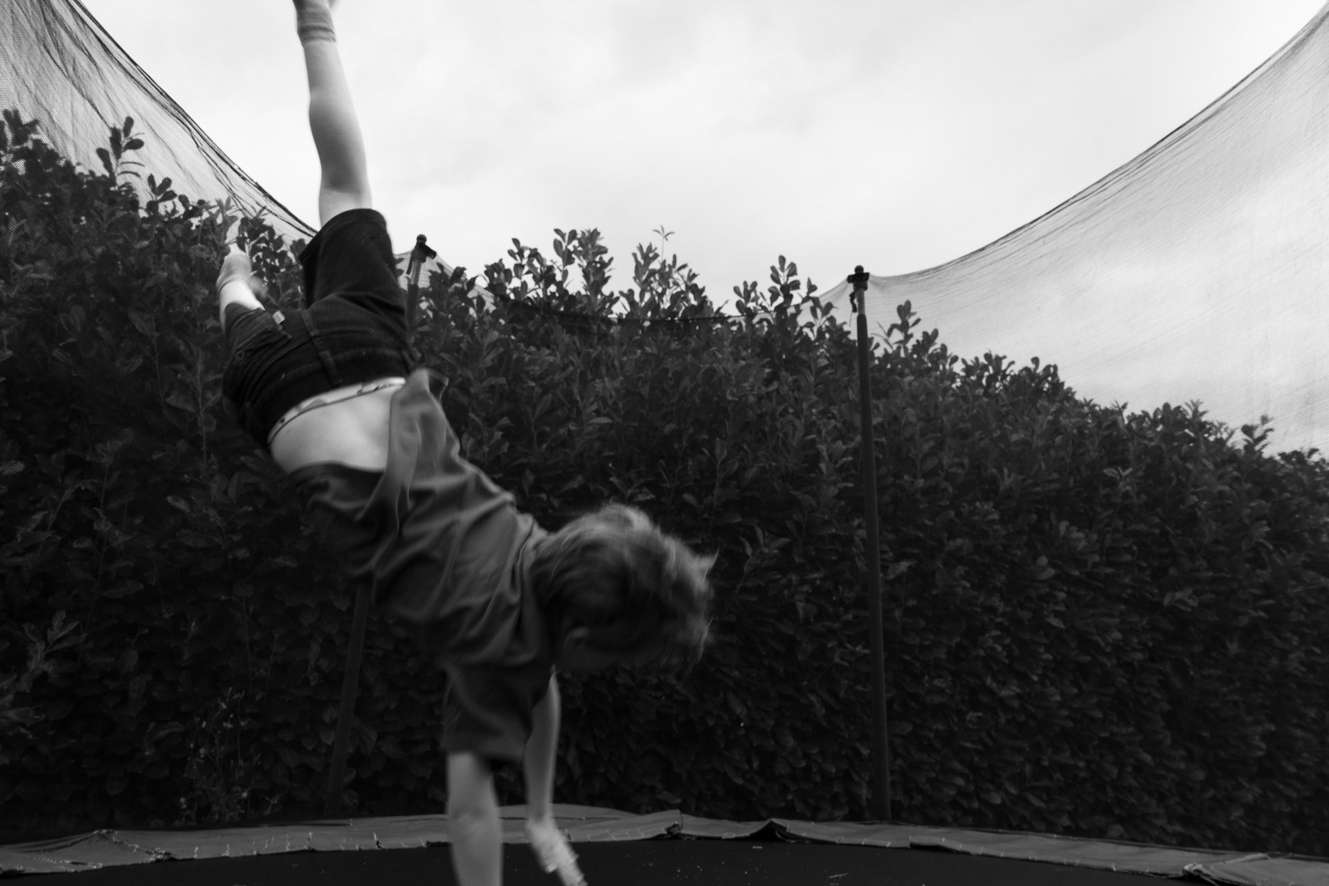 Le Trampoline